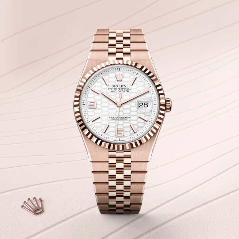 Rolex Land-Dweller in 18 kt Everose gold, M127335-0001 - Schiffman's Jewelers